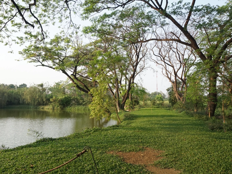 บรรยากาศคาเฟ่ Mulberry Mellow