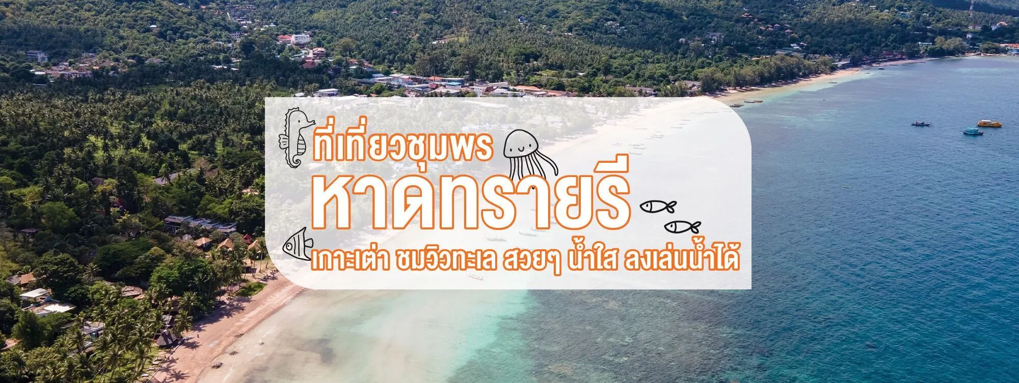 หาดทรายรี ที่เที่ยวชุมพร เกาะเต่า ชมวิวทะเล สวยๆ น้ำใส ลงเล่นน้ำได้