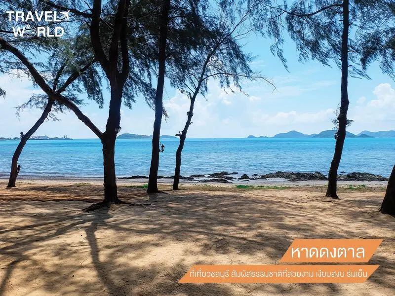 หาดดงตาล ที่เที่ยวชลบุรี