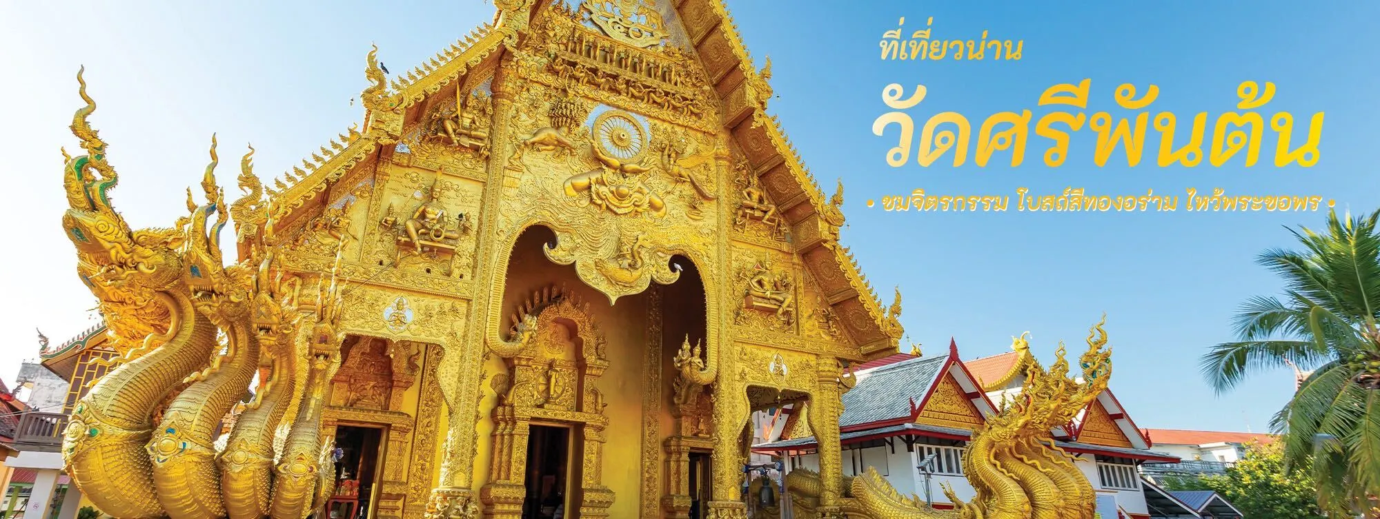 วัดศรีพันต้น ที่เที่ยวน่าน ชมจิตรกรรม โบสถ์สีทองอร่าม ไหว้พระขอพร