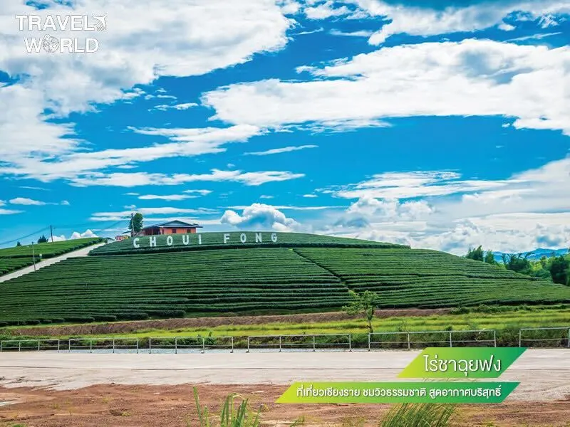 ไร่ชาฉุยฟง