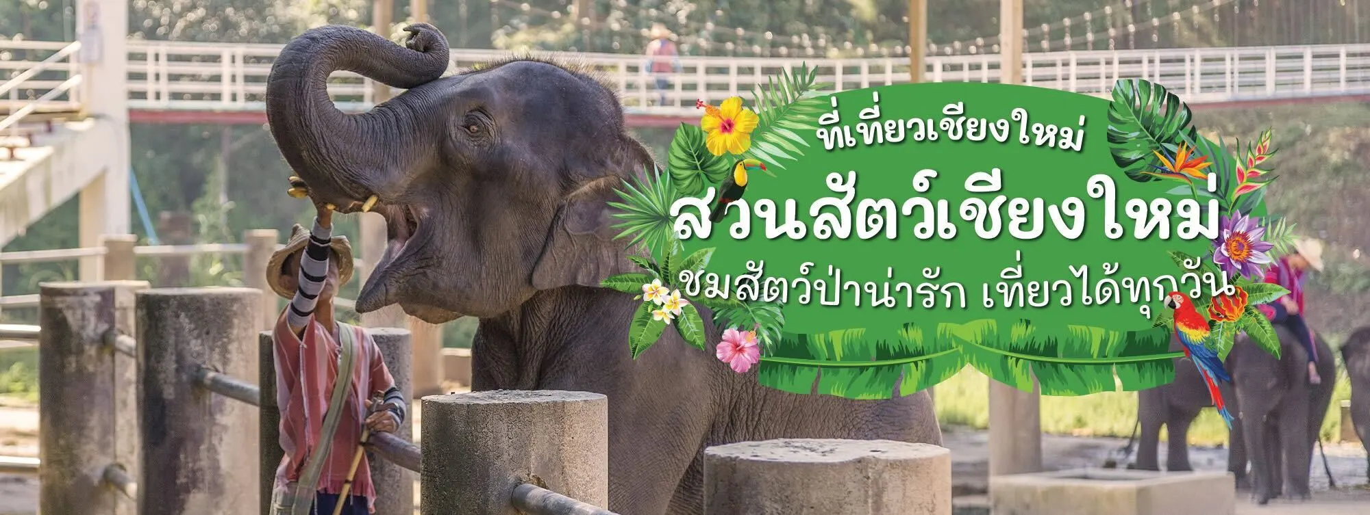 สวนสัตว์เชียงใหม่ ที่เที่ยวเชียงใหม่ ชมสัตว์ป่าน่ารัก เที่ยวได้ทุกวัน