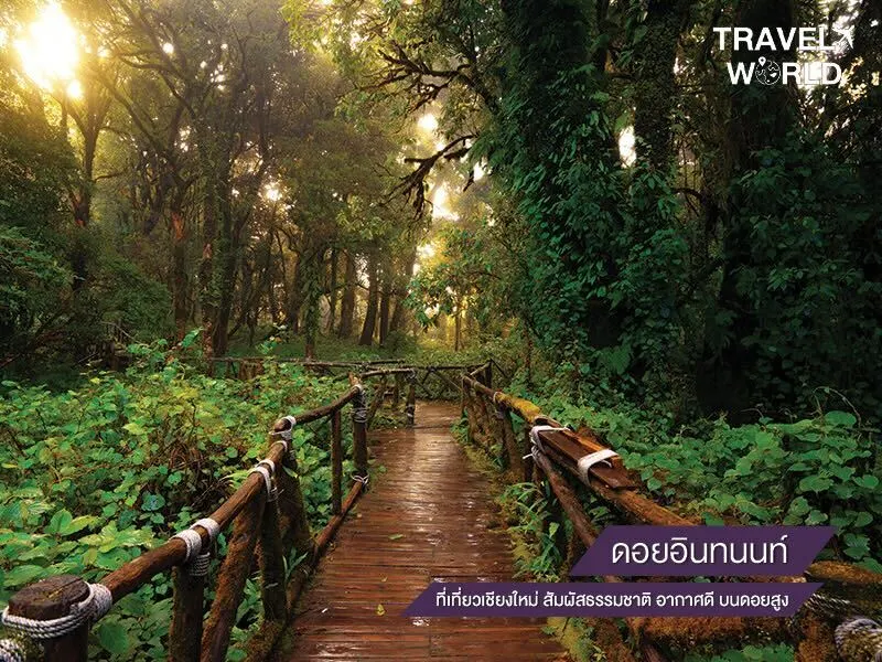 ดอยอินทนนท์ ที่เที่ยวเชียงใหม่