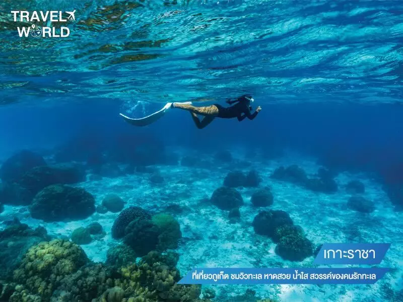 เกาะราชา