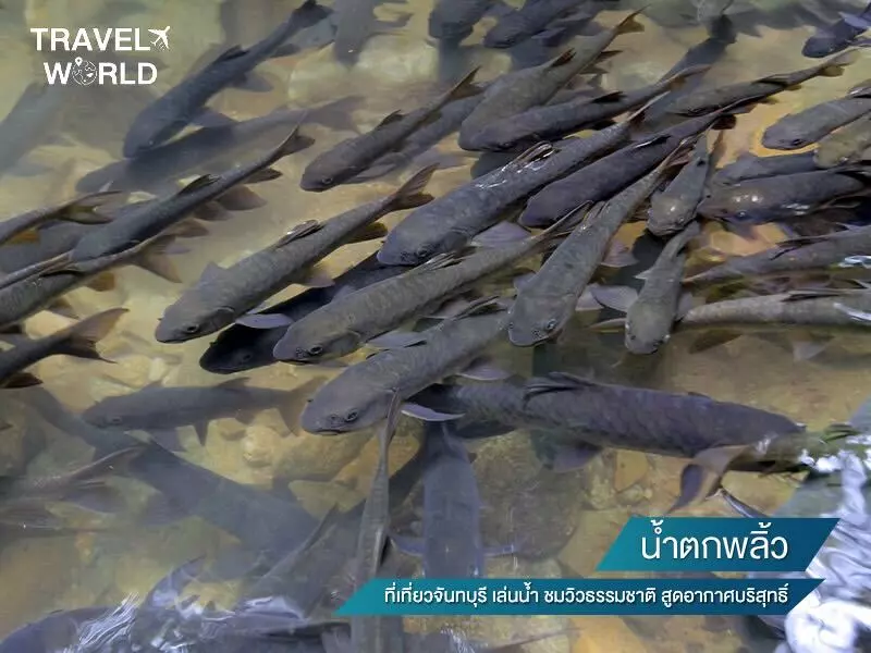 น้ำตกพลิ้ว ที่เที่ยวจันทบุรี